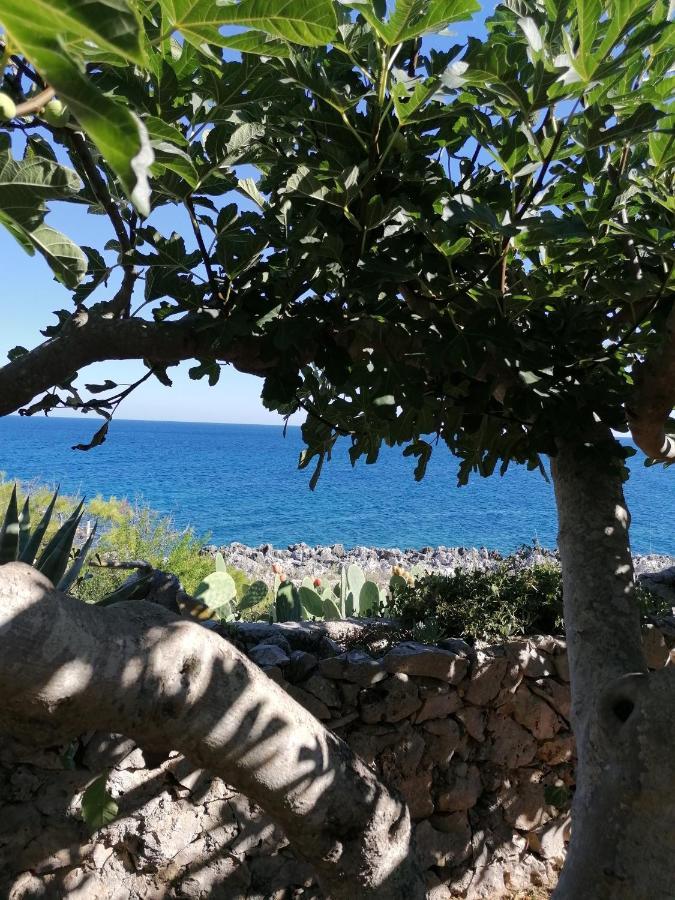Villa Marigiosa Salento Marittima Luaran gambar