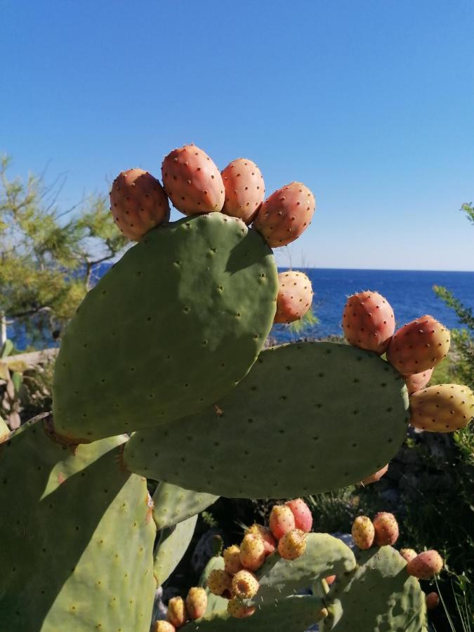 Villa Marigiosa Salento Marittima Luaran gambar