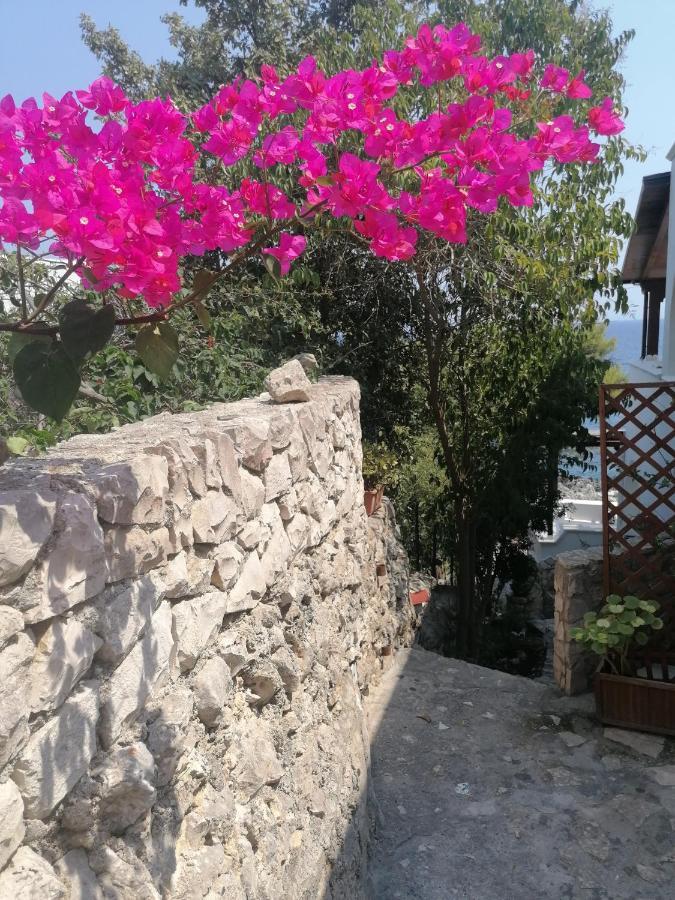 Villa Marigiosa Salento Marittima Luaran gambar